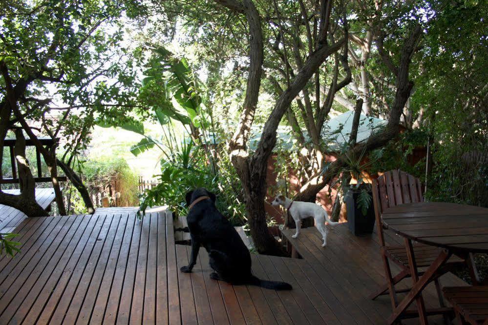 Zen Guesthouse Jeffreys Bay Εξωτερικό φωτογραφία